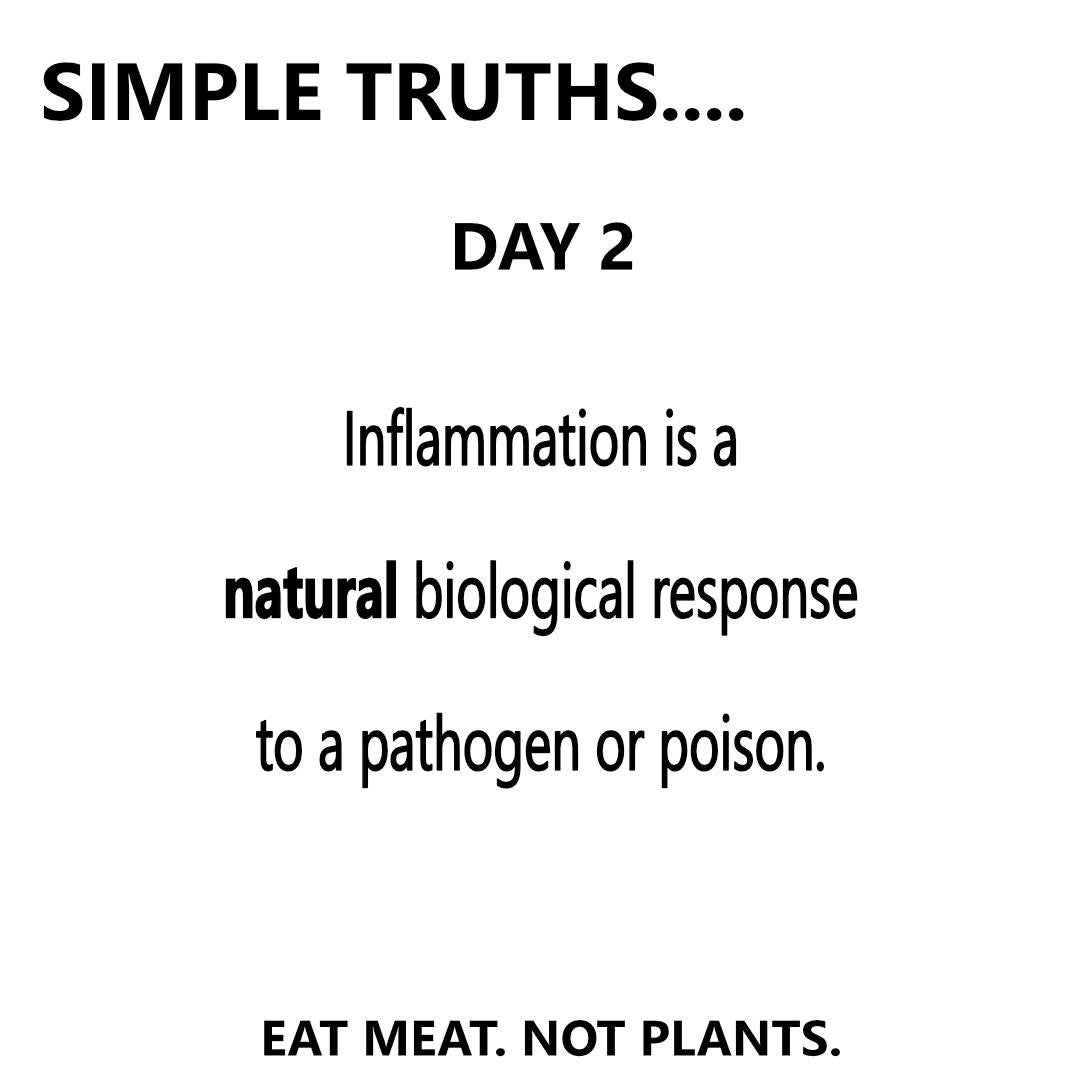 Day 2