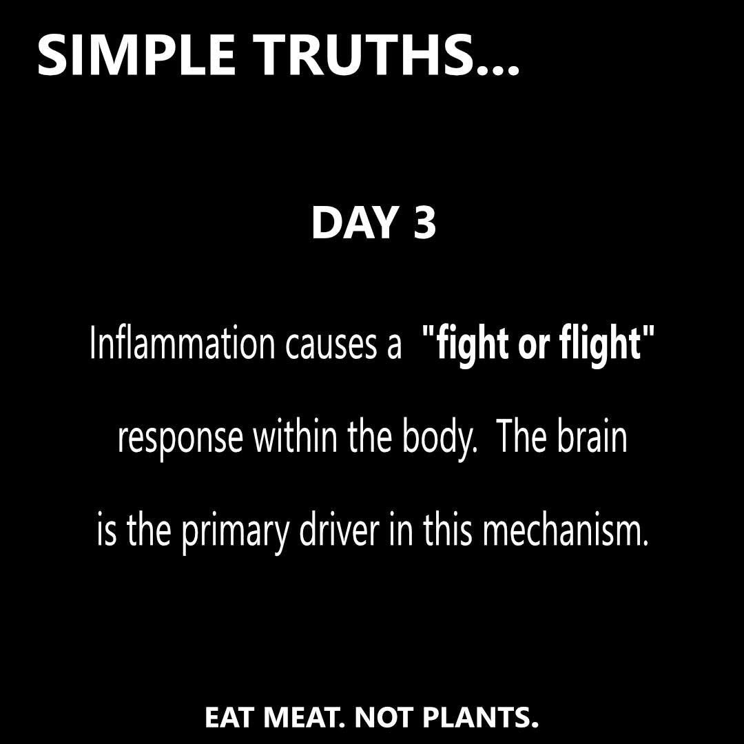 Day 3