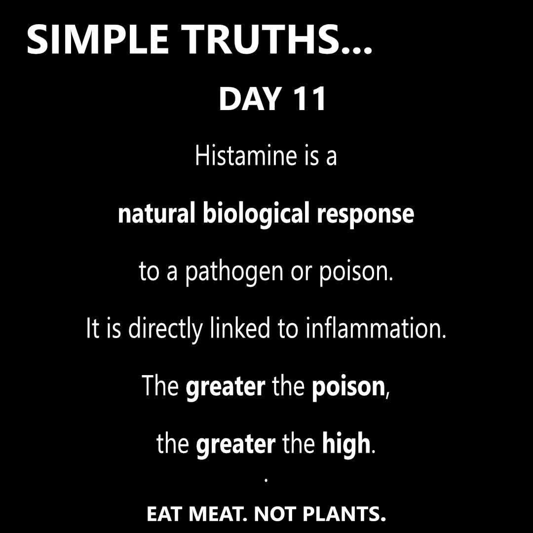 Day 11