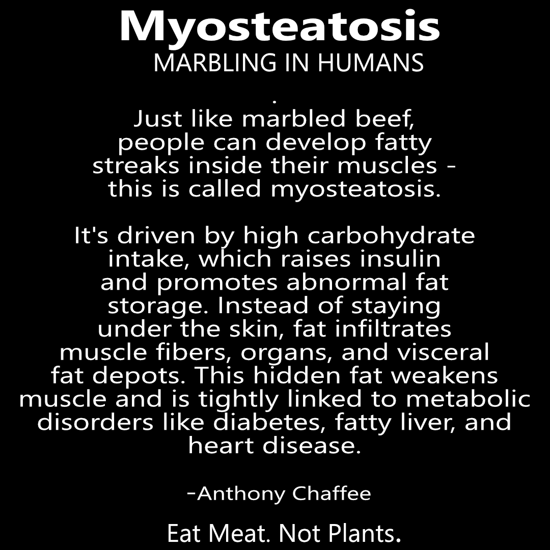 Myosteatosis