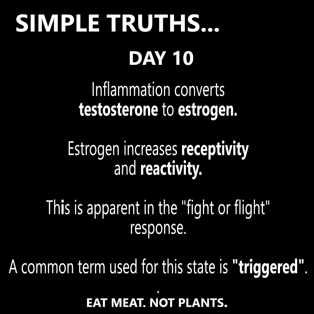 Day 10