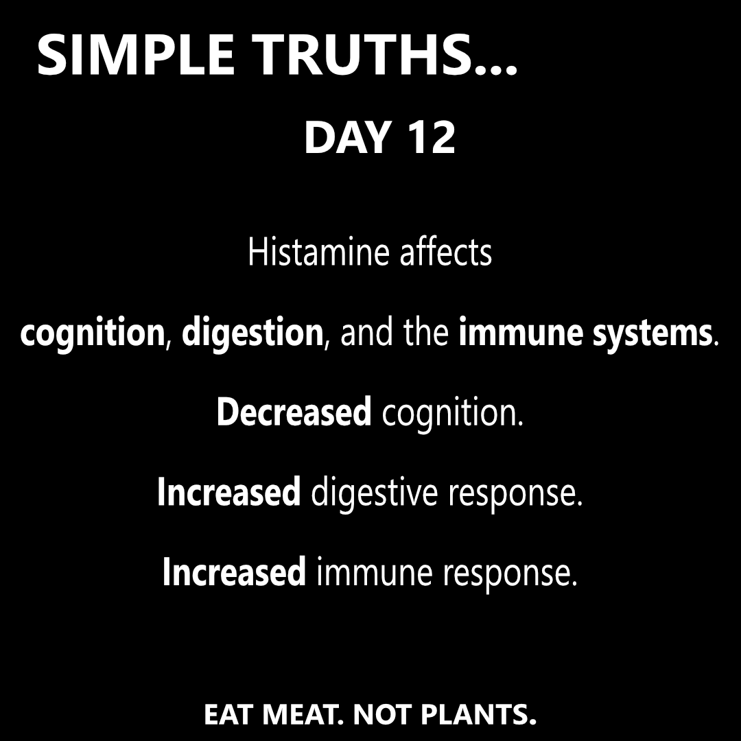 Day 12