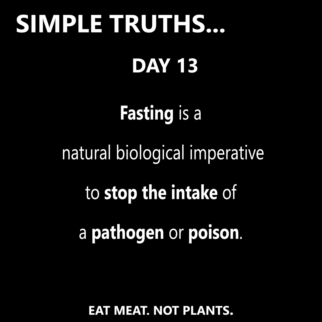 Day 13