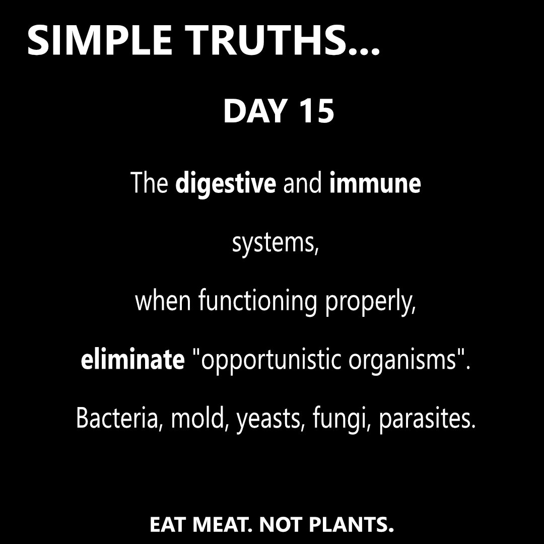 Day 15