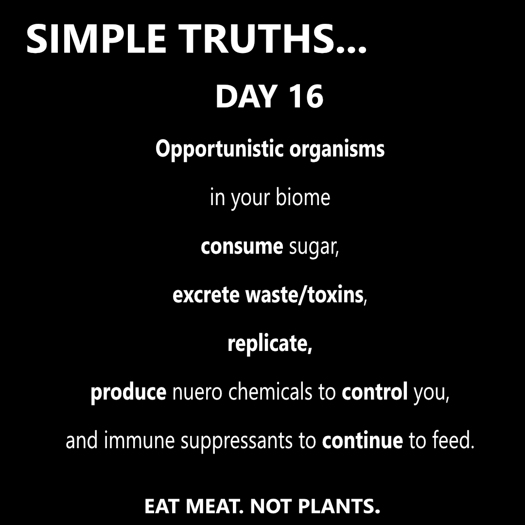Day 16