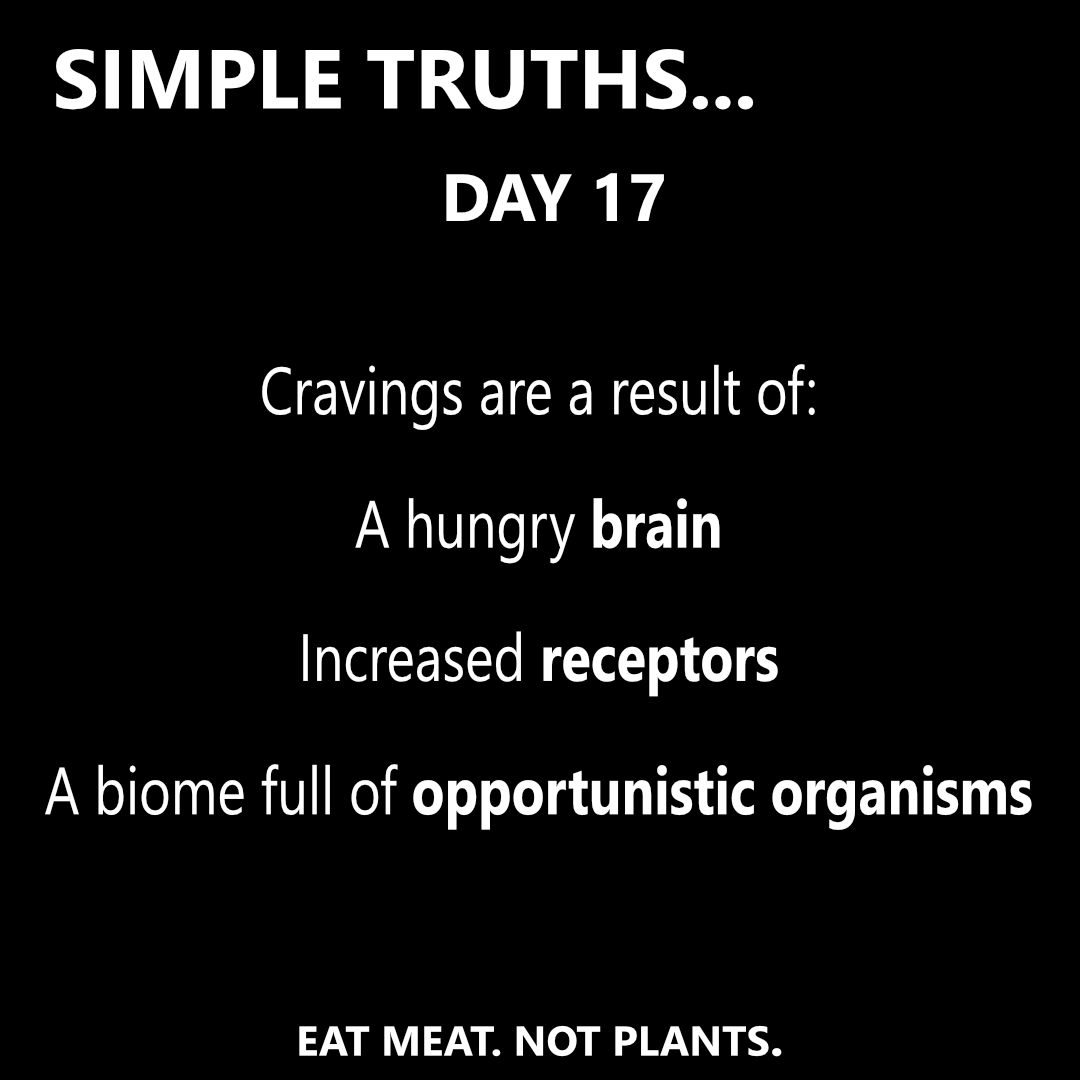 Day 17