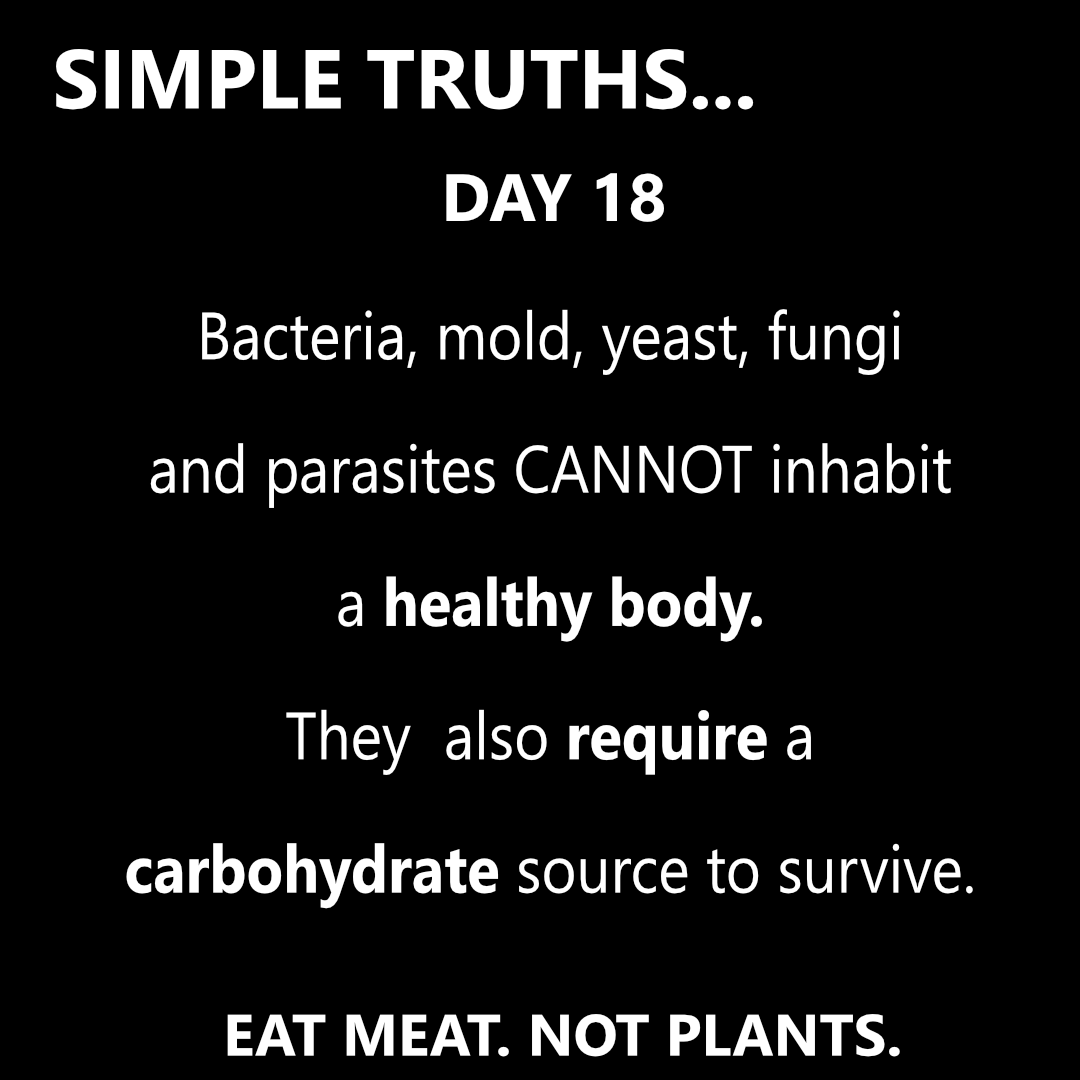 Day 18