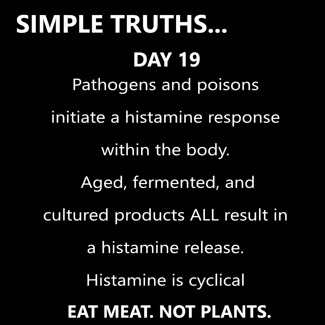 Day 19