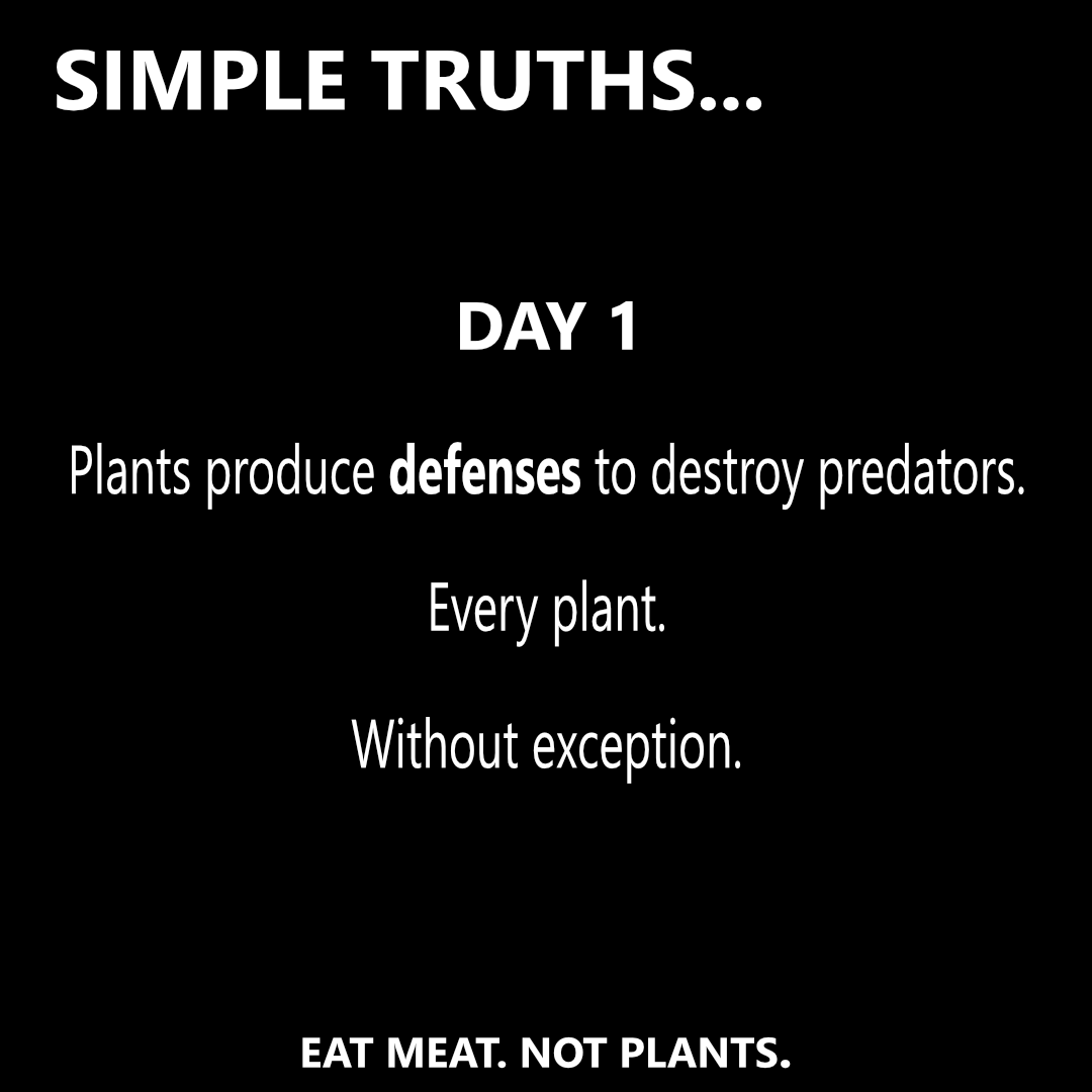 DAY 1