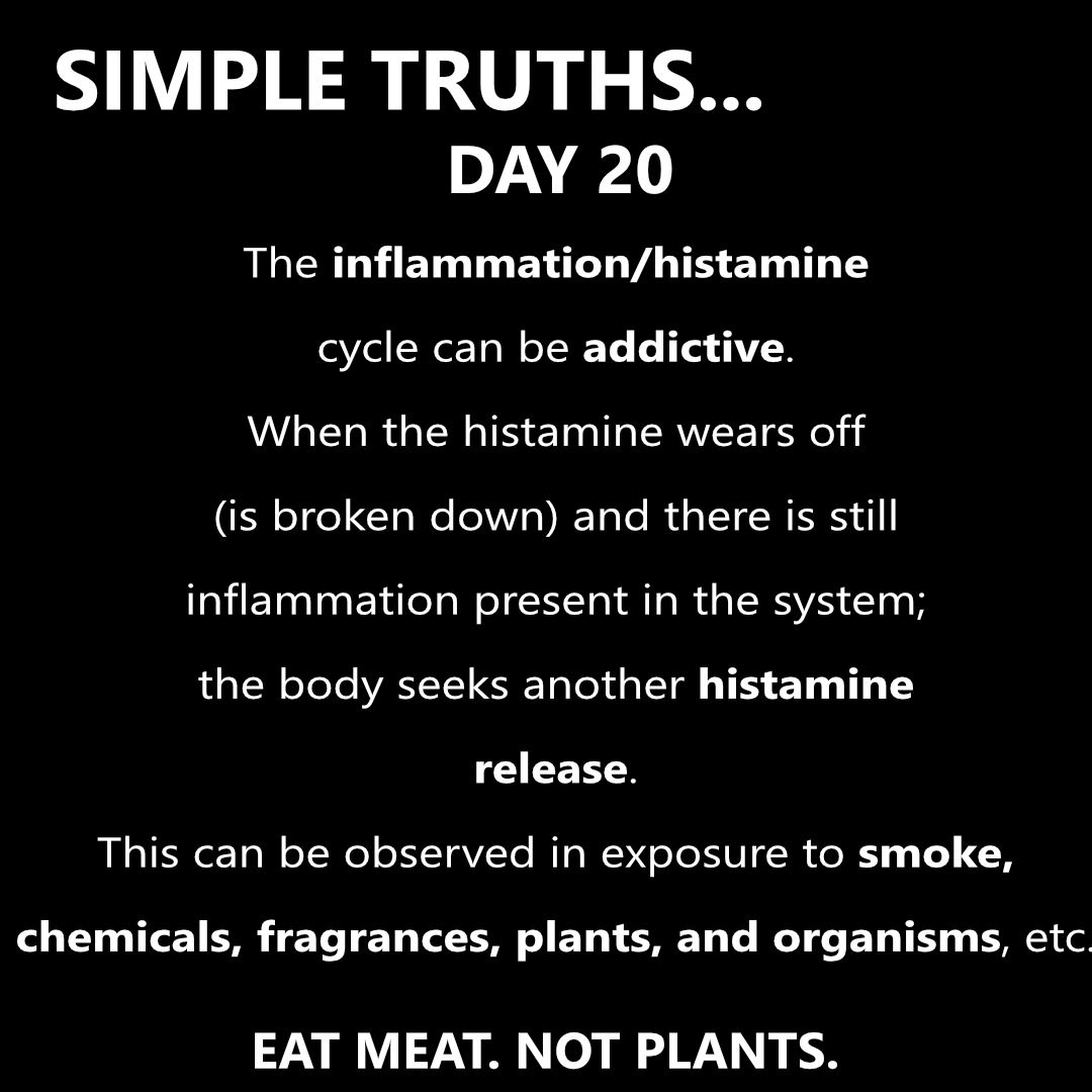Day 20