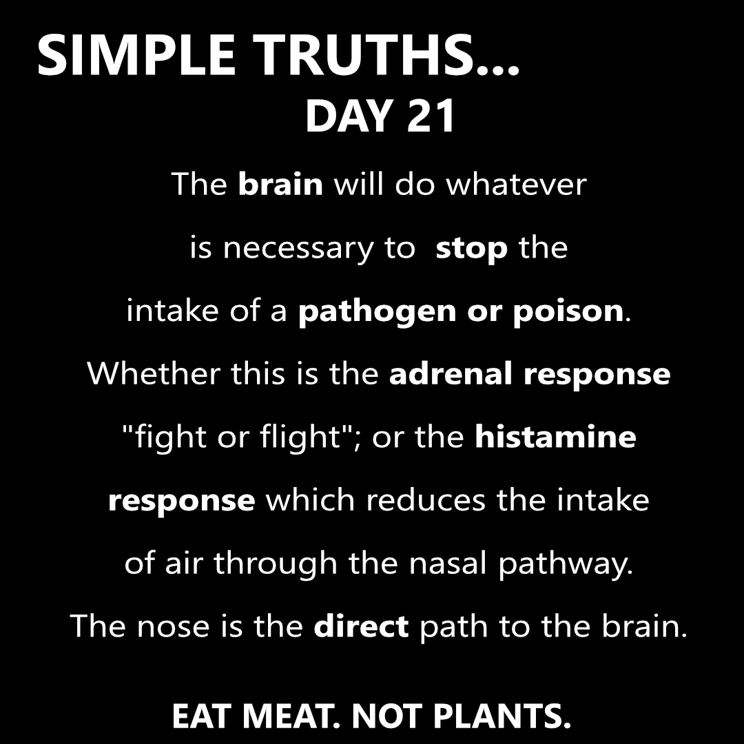Day 21