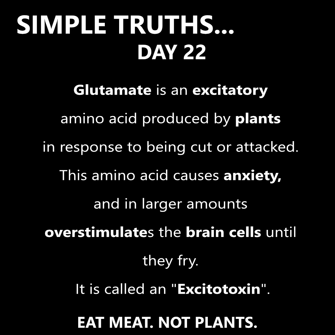 Day 22