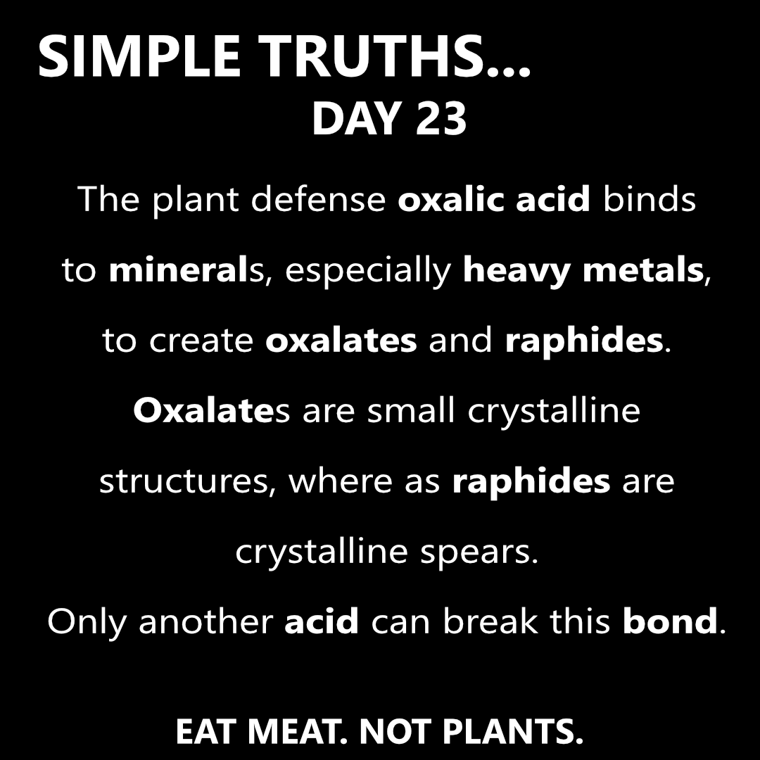 Day 23