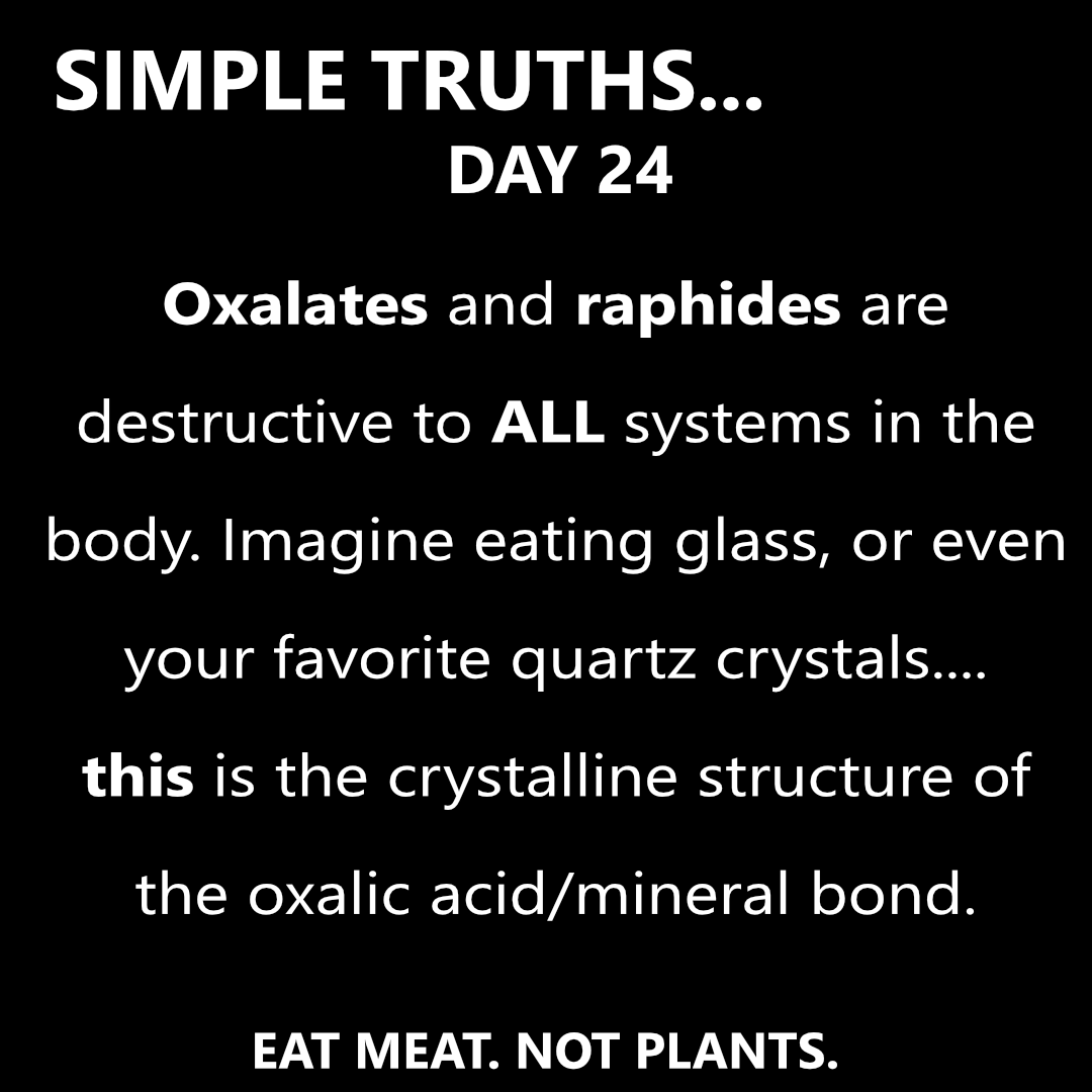 Day 24