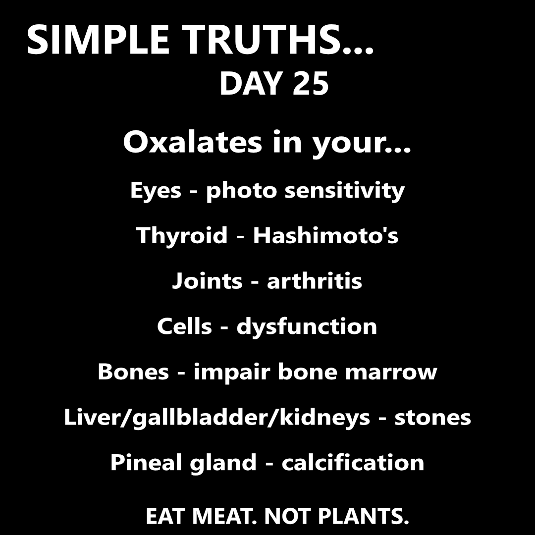 Day 25