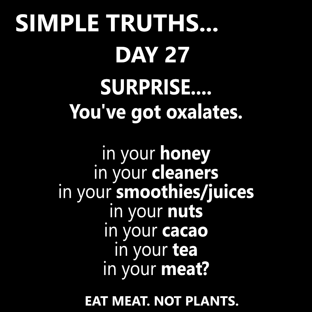 Day 27