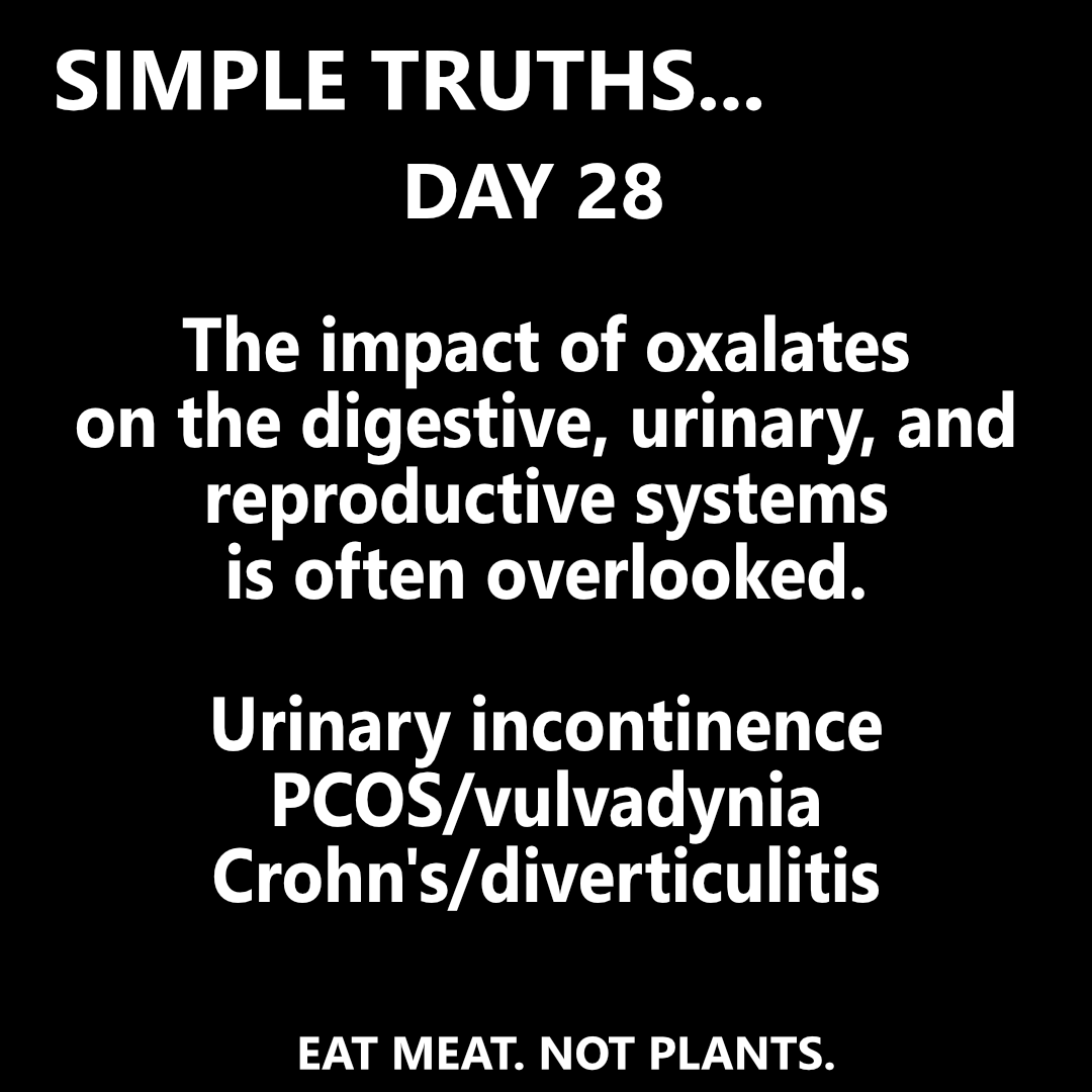 Day 28