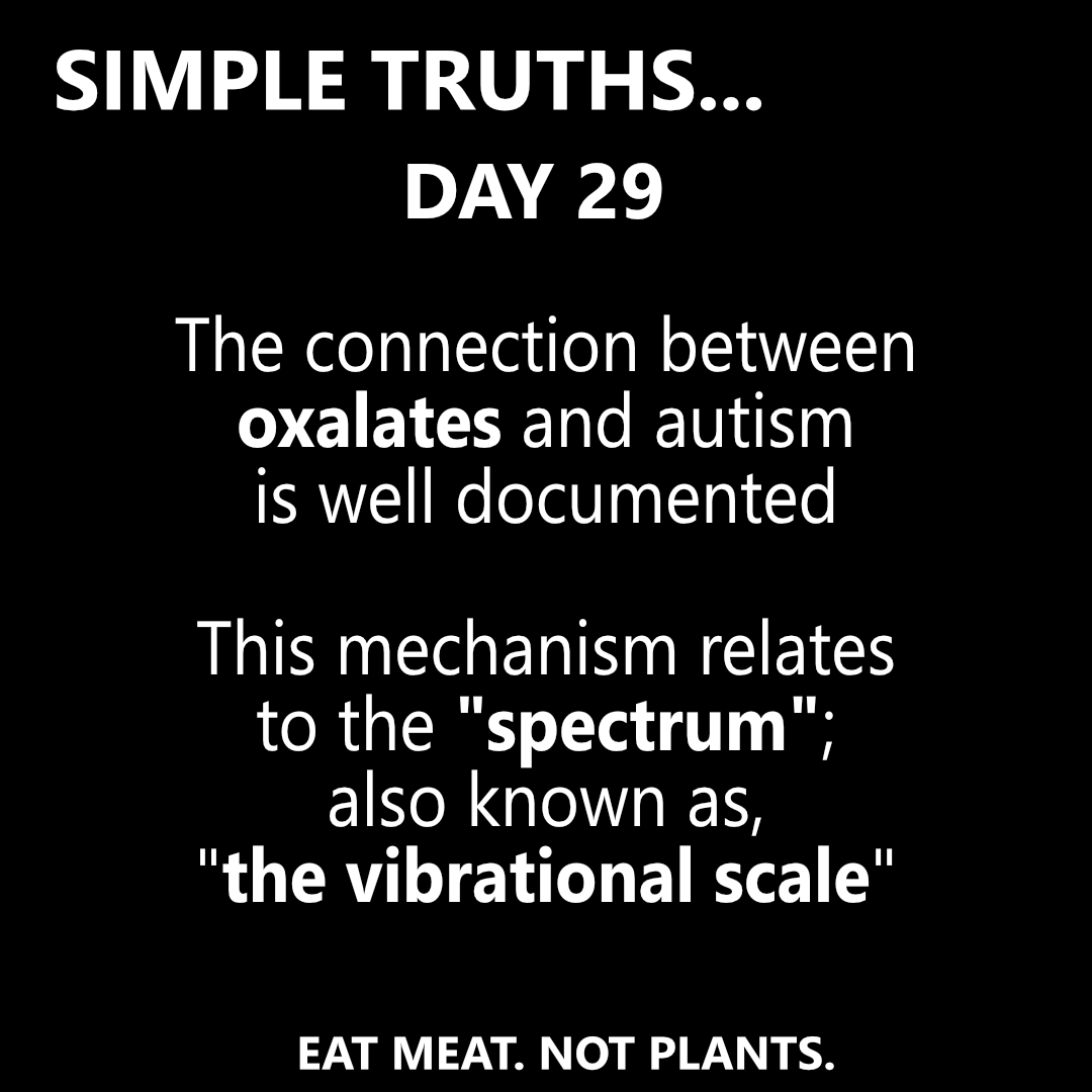 Day 29