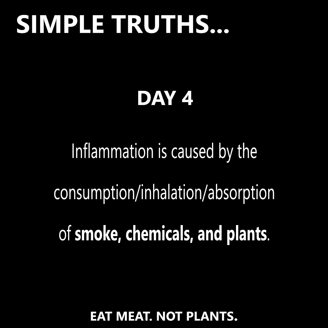 Day 4