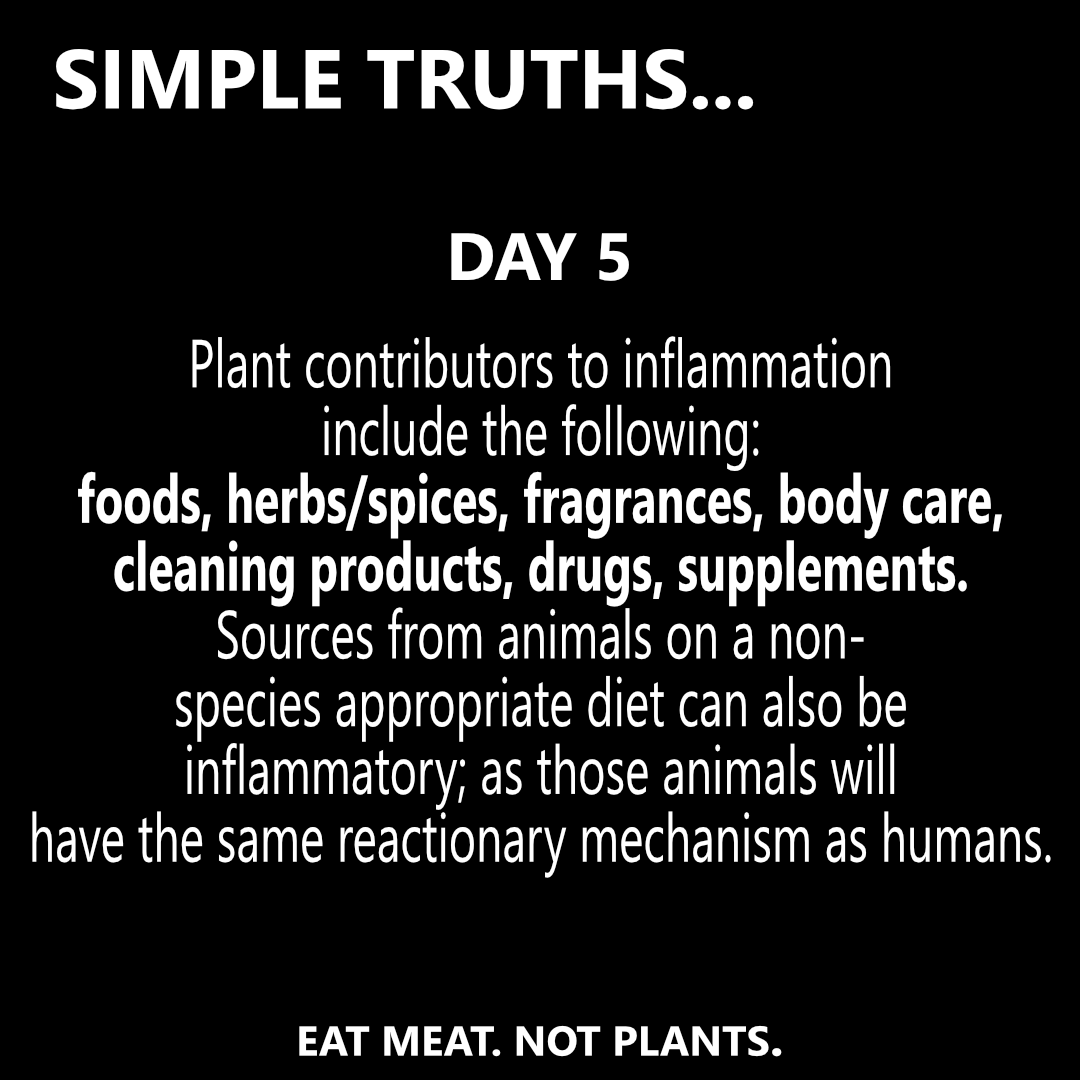 Day 5