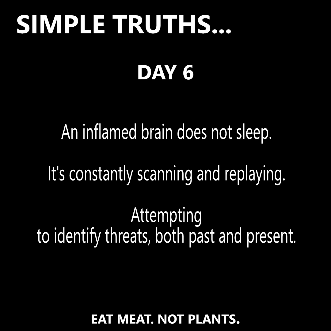 Day 6