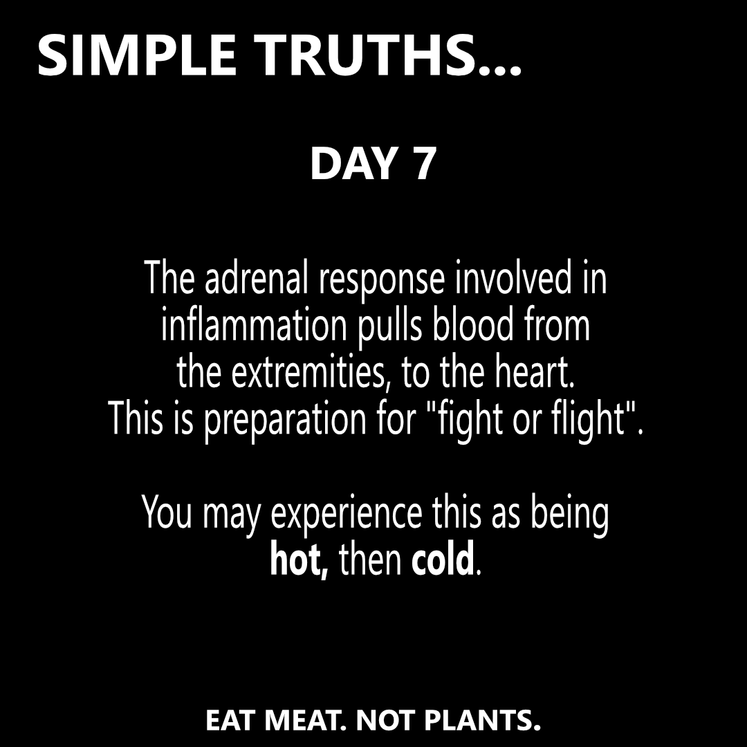 Day 7