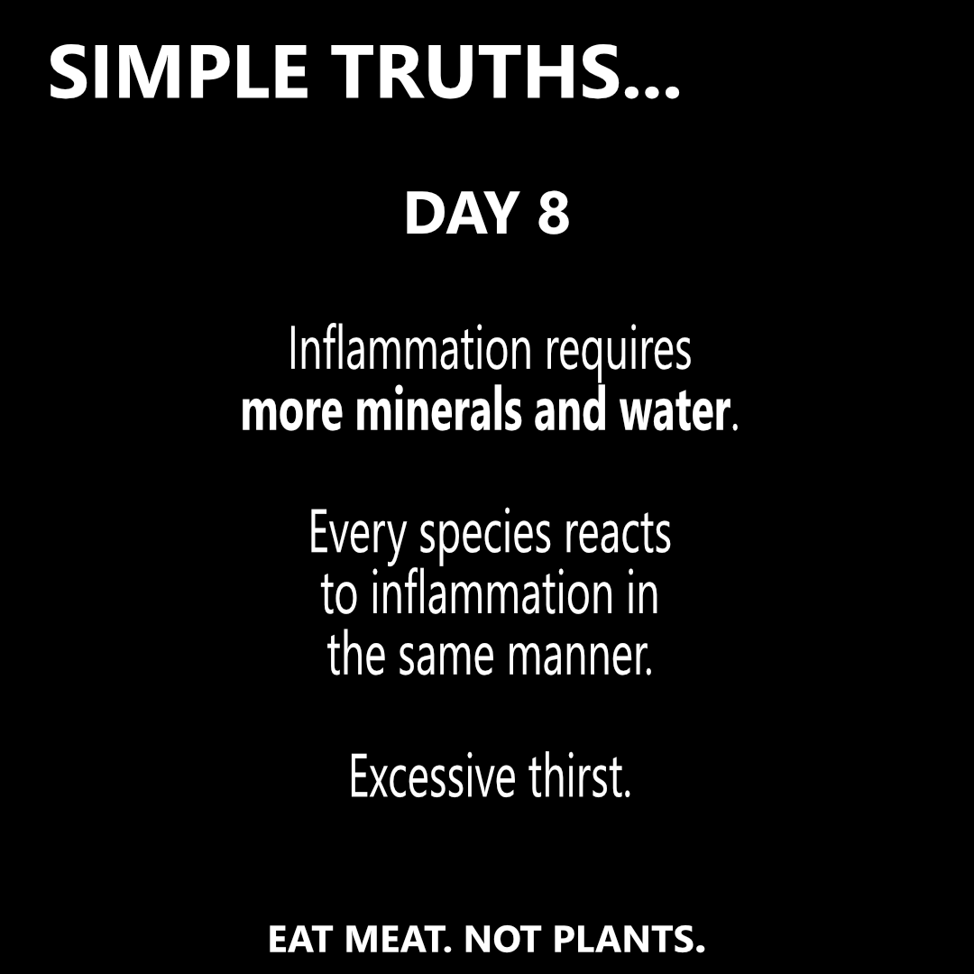 Day 8