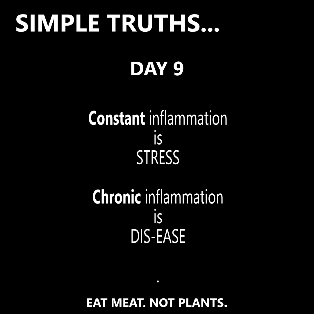 Day 9
